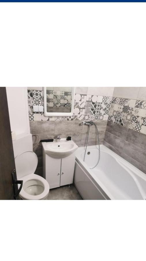 Vila Davison Târgu Jiu エクステリア 写真