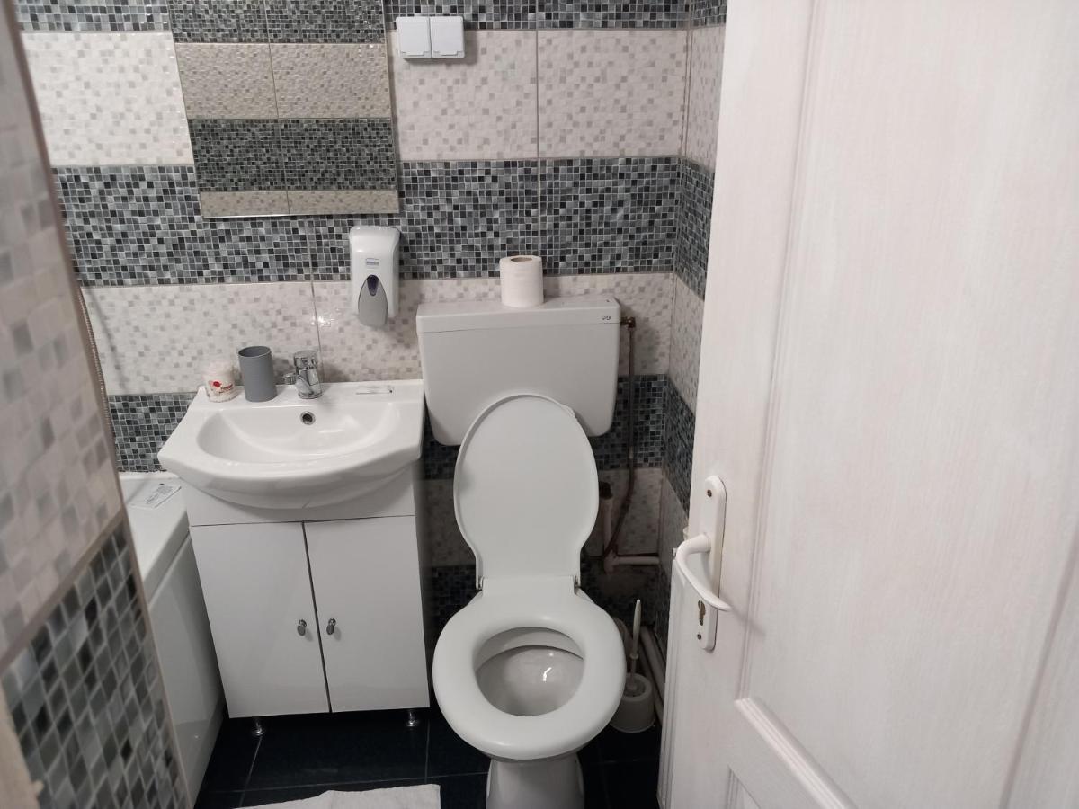 Vila Davison Târgu Jiu エクステリア 写真