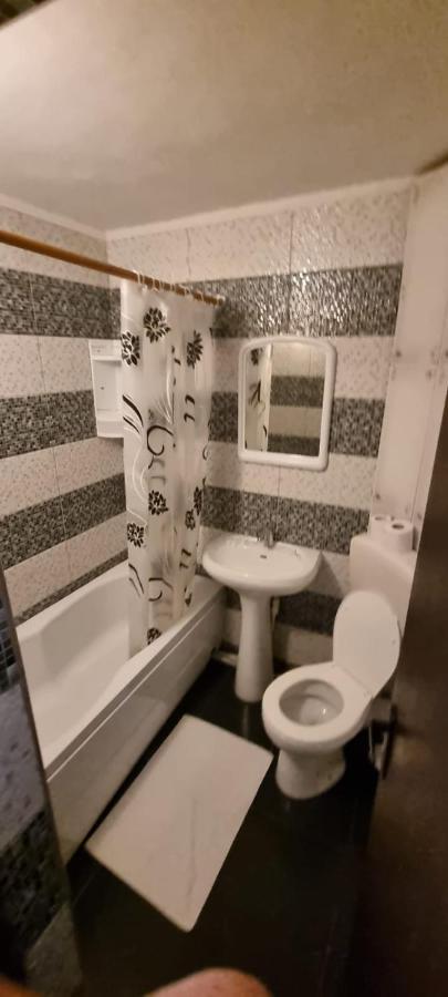 Vila Davison Târgu Jiu エクステリア 写真