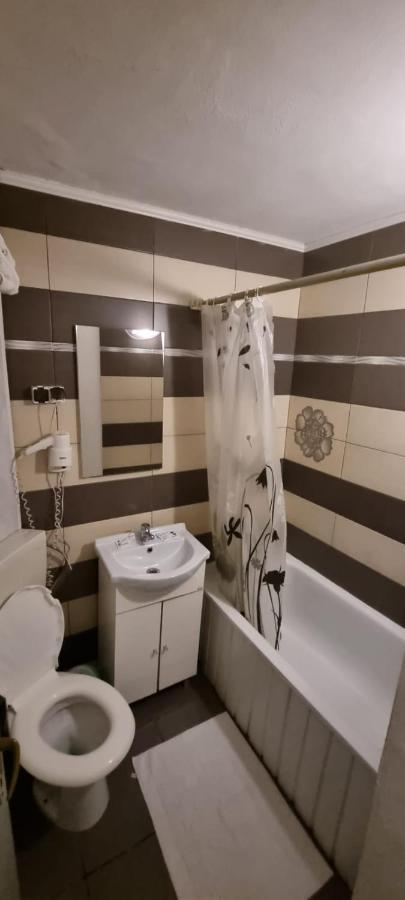 Vila Davison Târgu Jiu エクステリア 写真