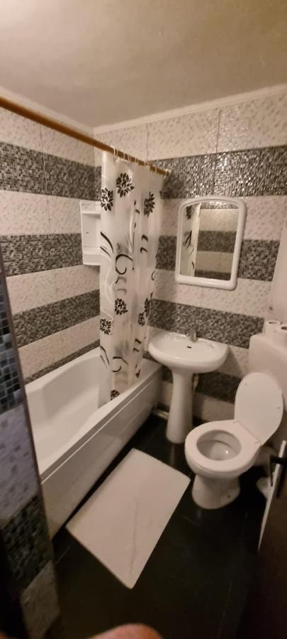 Vila Davison Târgu Jiu エクステリア 写真